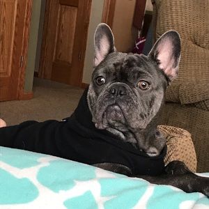 Meet your Posher, Lynn